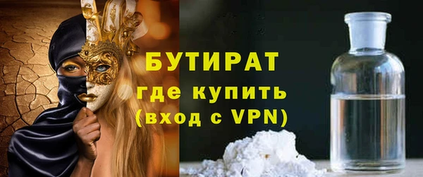 шишки Надым