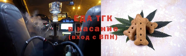 шишки Надым