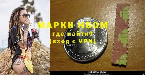 шишки Надым