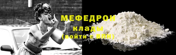 шишки Надым