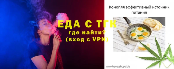 шишки Надым