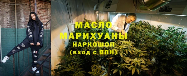 шишки Надым