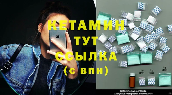 шишки Надым