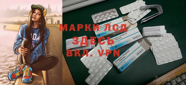 шишки Надым
