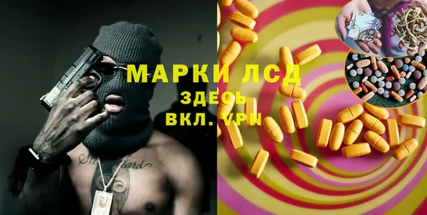 шишки Надым