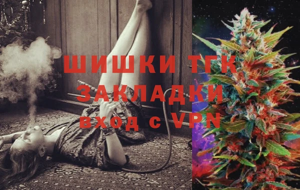 шишки Надым