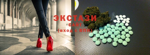 шишки Надым