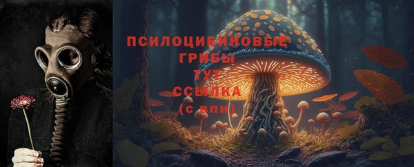 шишки Надым