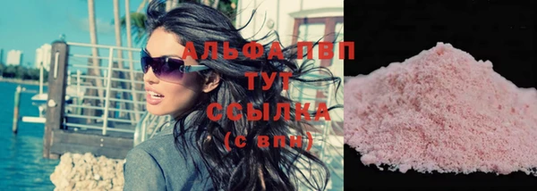 шишки Надым