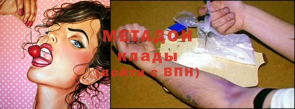шишки Надым