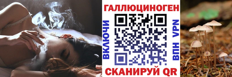 Псилоцибиновые грибы Magic Shrooms  Купить где  Бабаево 