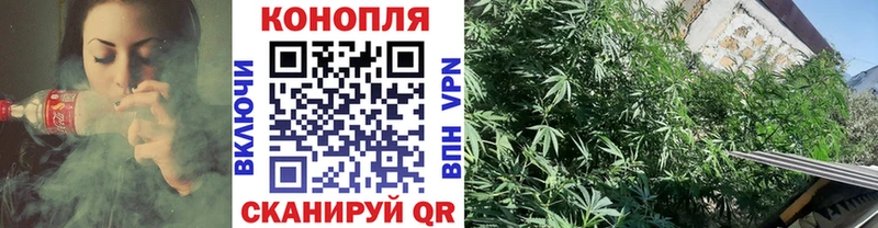 МАРИХУАНА OG Kush  Купить  Бабаево 